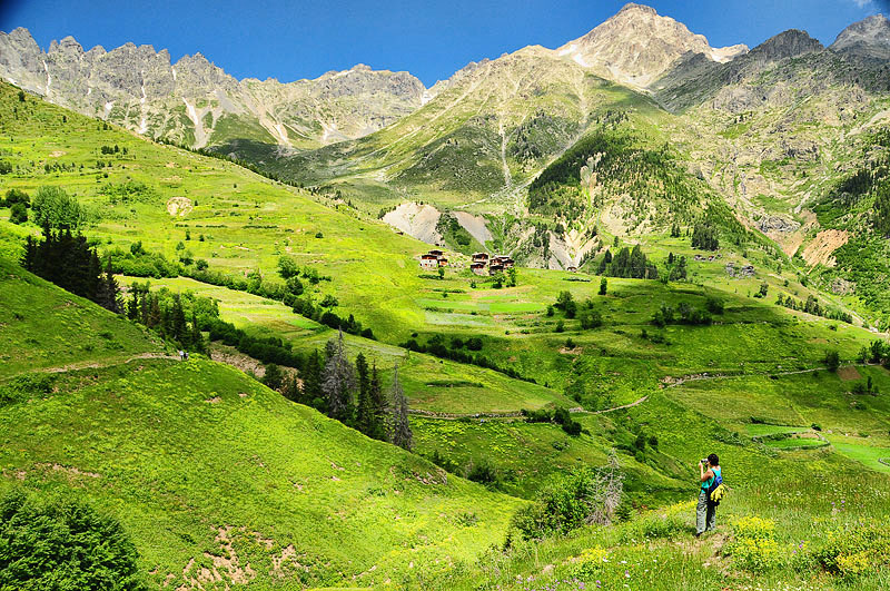 Snow in New Orleans, 2009