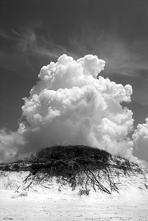 Ascension © Richard Sexton, 2003 (from Terra Incognita)